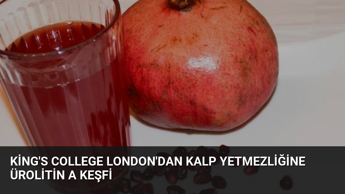 King’s College London’dan Kalp Yetmezliğine Ürolitin A Keşfi